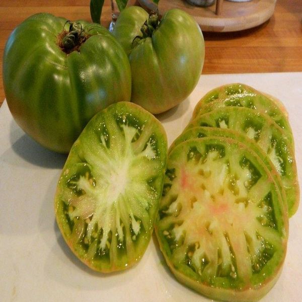 Aunt Ruby's German Green tomatoes are large and have a beefsteak shape. They have a vibrant green colour that can vary in shades, ranging from lime green to a deeper green with yellow undertones. The fruit is known for its slightly ribbed texture and can grow up to 0.5kg in weight