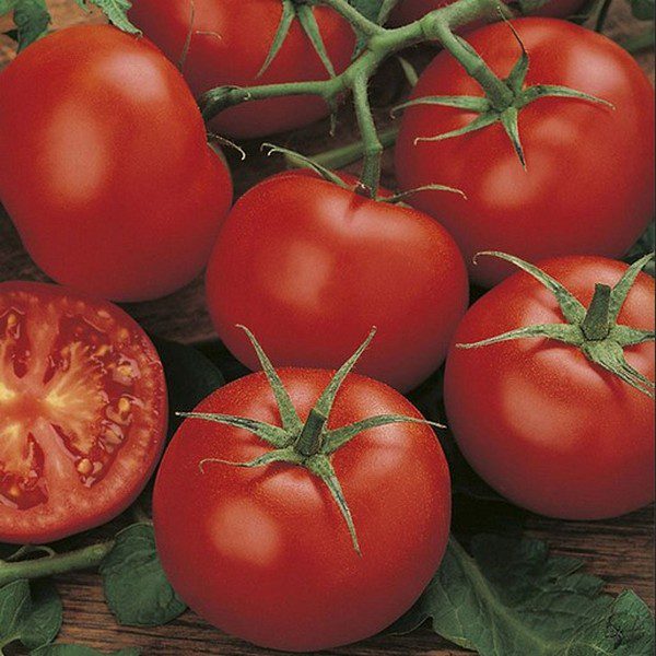 Money Maker Truss tomato are known for their juicy, meaty flesh