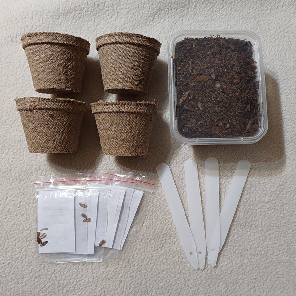 Little Seed Farmer Kits. Everything you need to grow your own plants