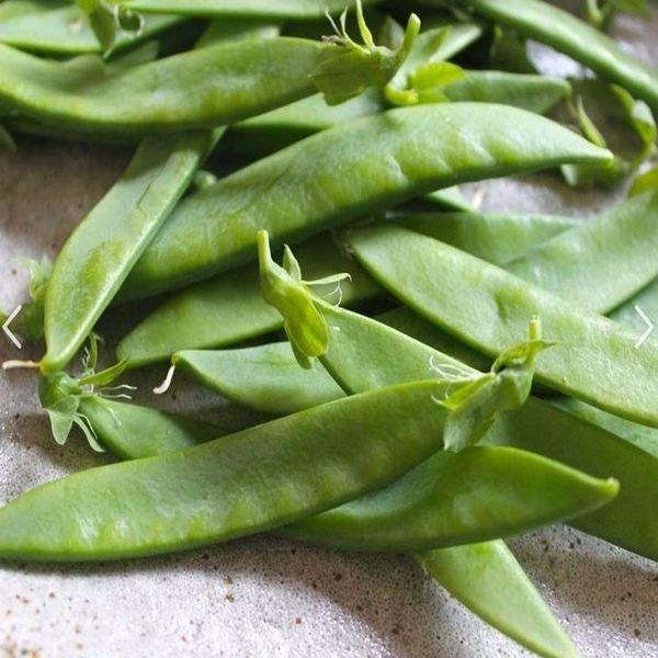 The Giant Snow Pea is a remarkable addition to your garden, offering the opportunity to savour the exceptional taste of freshly picked peas in generous quantities. Whether you're an experienced gardener or a novice, these peas will delight your taste buds and provide a rewarding growing experience.
